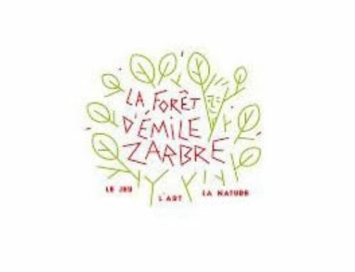 FORÊT D’ÉMILE ZARBRE