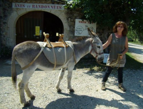 Les Gorges de l’Ardècheen randonnée avec un âne